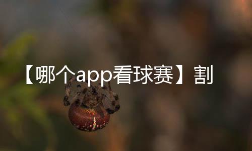 【哪个app看球赛】割双眼皮什么梗