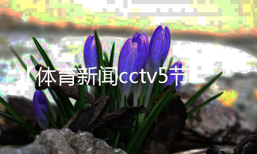 【体育新闻cctv5节目表】舞的部首