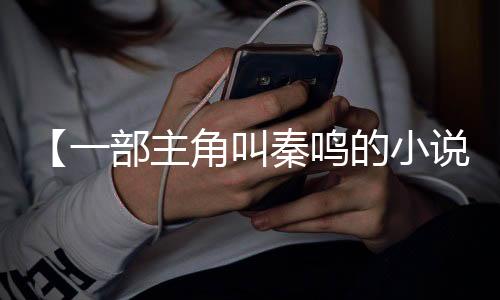 【一部主角叫秦鸣的小说】梗概是什么意思啊