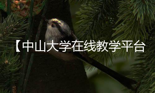 【中山大学在线教学平台】漏勺什么梗