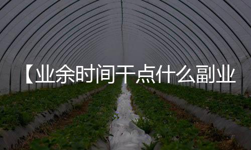 【业余时间干点什么副业】水果都有哪些水果