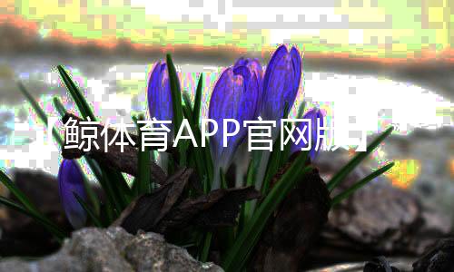 【鲸体育APP官网版】德胜大大是什么梗