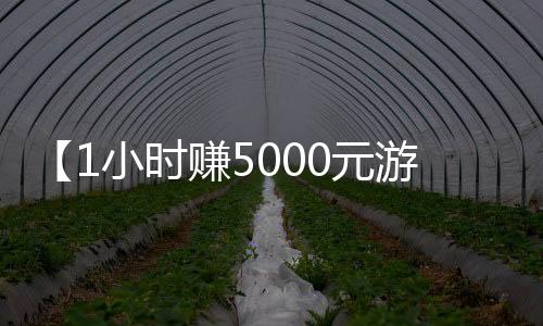 【1小时赚5000元游戏无广告】我命运般的什么梗